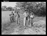 [Untitled photo, possibly related to: Negro tobacco planter's family. The three children in the background are those of a neighbor. Near Farrington, North Carolina. Chatham County]