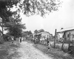 Housing for workers on the Lewis Plantation