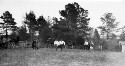 Men running in a sports event. - 100 yard dash. Sussex County School Fair