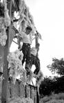 Two white boys and African American boy standing on cotton building rigging