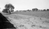 Mexico, plowed cropland at La Llave