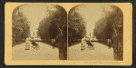 Forsyth Park, Savannah, Ga. [View of an African-American woman with a baby carriage.]