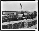 Loading cross ties with Brown hoist on yard, Lamb-Fish Lumber Co., Charleston, Miss.