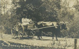 African American man and woman in an ox-drawn cart on a wood-plank bridge.