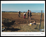 Planting in the Garden