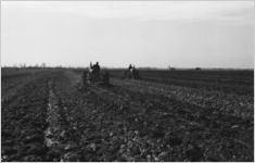 Two men on tractors