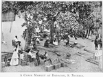 A chair market at Badagry, S. Nigeria