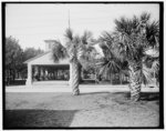 Thumbnail for [Old Slave Market and Plaza, St. Augustine, Fla.]