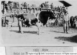 Thumbnail for Millard County Jr. Livestock show [89]