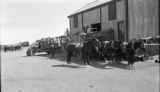 Thumbnail for Argentina, loading truck with bags of wool at Choele-Choel storehouse