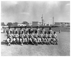 Portrait of the Anderson High School Baseball Team