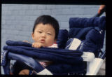 Baby In Stroller