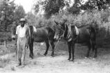 Farm scenes: Don Stuart Farm. Vicksburg, Miss. Don Stuart cultivating cotton, house exterior, barn, smokehouse, henhouse, mules and dogs (FSP C-68 #511)