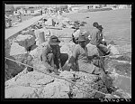 [Untitled photo, possibly related to: Negroes fishing from pier. Corpus Christi, Texas]