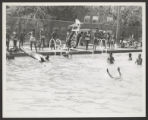 Madden Park (0028) Activities - Swimming, 1976-07-27