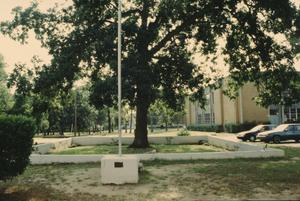 Wiley College