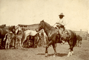 Hector Bazy riding horse while herding horses