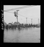 [Untitled photo, possibly related to: Detroit, Michigan. Riot at the Sojourner Truth homes, a new U.S. federal housing project, caused by white neighbors' attempt to prevent Negro tenants from moving in. White picket line]