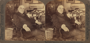 William McKinley