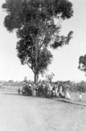 Unidentified group near large tree