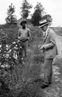 Two unidentified men standing on the edge of a cotton field