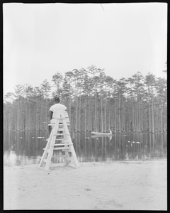 Campbell's Pond, Cheraw State Park, South Carolina