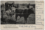 Aunt Betsey Holmes, age 93. Uncle Billy, her husband and Joe the Bull, a character known all over North Carolina.