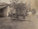 Henry C. Hammond's [Henry Cumming Hammond (1868-1961)] team, Redcliffe, S.C.