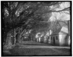 [Darkey cabins under the oaks, the Hermitage, Savannah, Ga.]