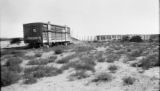 Argentina, sheep in corral with loading runway and waiting box car in Pichi-Mahuida