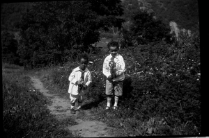 Two children holding wildflowers in field] [cellulose acetate photonegative