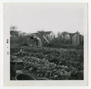 Woman Gardening