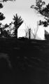 Bermuda, old slave quarters on top of hill at Soncy estate in Pembroke Parish