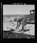 Young Negro wife cooking breakfast, outskirts of El Paso, Texas. "Do you suppose I'd be out on the highway cooking my steak if I had it good at home?" Occupations: hotel maid, cook, laundress