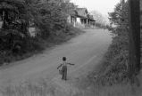 Boy playing with small dog.