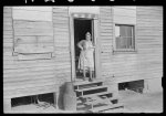 Mixed-breed Indian, white and Negro, near Pembroke Farms, making new chair seat. North Carolina