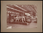 Louisiana Purchase Exposition, St. Louis, Missouri, 1904