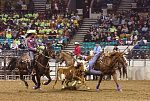 A contestant ropes a calf at the Martin Luther King, Jr., African-American Heritage Rodeo, one of the National Western Stock Show events in Denver, Colorado