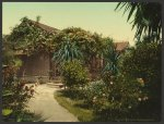 Rose-covered cottage, Pasadena