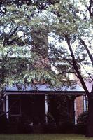 Suburban home surrounded by foliage