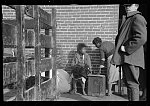 Awaiting registration in the camp for Negro flood refugees at Forrest City, Arkansas