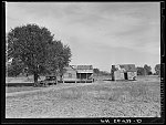 Negro homes near Summerville, South Carolina