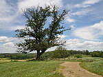 A portion of Cemetery Hill at Gettysburg National Military Park in Gettysburg, Pennsylvania, site of the fateful battle of the U.S. Civil War. This hill was contested each day of the battle