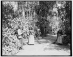 The caretakers, Magnolia-on-the-Ashley [i.e. Magnolia Gardens], Charleston, S.C.