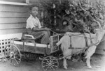 Boy in a carriage