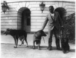 [Robert R. Robinson, kennel master at the White House for Herbert Hoover's dogs, Buckeye, a German police dog; King Tut, a Belgian police dog; and Englehurst Gillette, a Gordon setter]