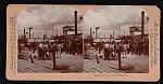 Loading mules at New Orleans, La.