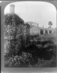 Florida-- ruins of the slave cabins--Ft. George Id.