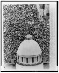 [Sea of 30,000 civil rights demonstrators gathered outside the Alabama state capitol following their march from Selma to Montgomery]