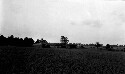 Old slave quarters and alfalfa fields Saint Paul's School